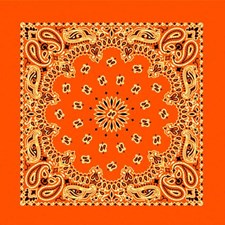 Neon Orange Paisley